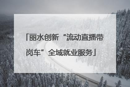 丽水创新“流动直播带岗车”全域就业服务