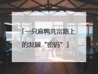 一只麻鸭共富路上的发展“密码”