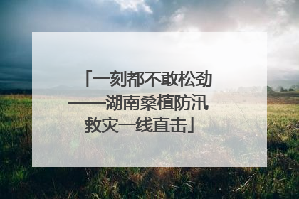 一刻都不敢松劲——湖南桑植防汛救灾一线直击