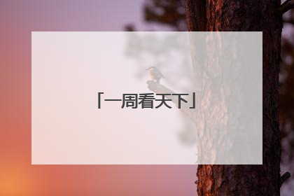 一周看天下