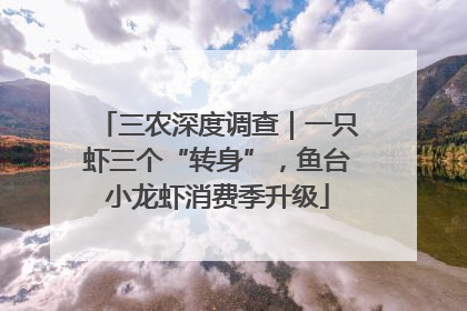 三农深度调查|一只虾三个“转身”,鱼台小龙虾消费季升级