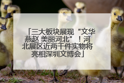 三大板块展现“文华燕赵 美丽河北”！河北展区近两千件实物将亮相深圳文博会