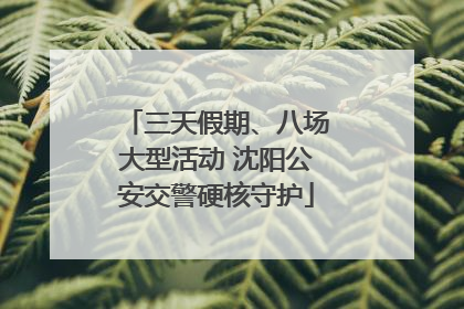 三天假期、八场大型活动 沈阳公安交警硬核守护
