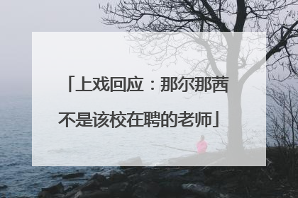 上戏回应：那尔那茜不是该校在聘的老师