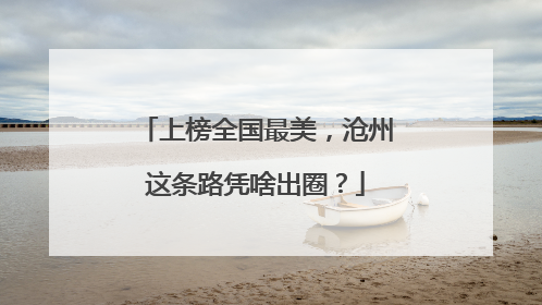 上榜全国最美，沧州这条路凭啥出圈？