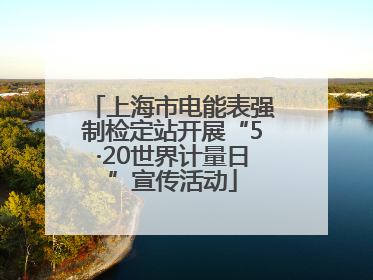 上海市电能表强制检定站开展“5·20世界计量日”宣传活动