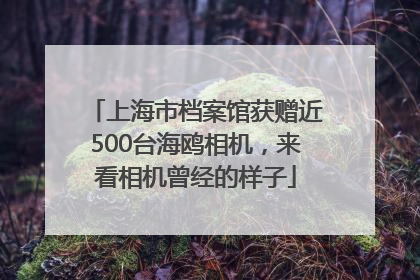 上海市档案馆获赠近500台海鸥相机，来看相机曾经的样子