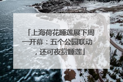 上海荷花睡莲展下周一开幕：五个公园联动，还可夜赏睡莲