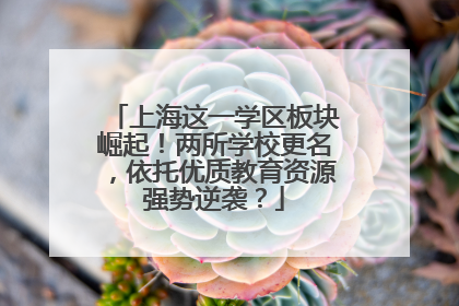 上海这一学区板块崛起！两所学校更名，依托优质教育资源强势逆袭？