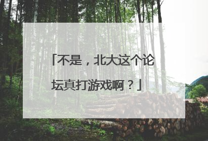 不是，北大这个论坛真打游戏啊？