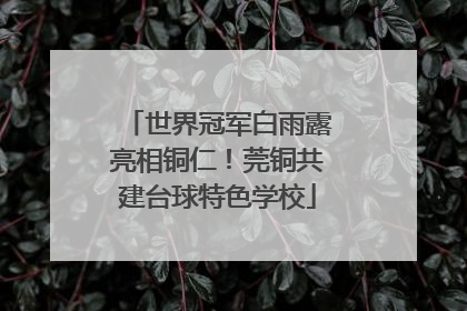世界冠军白雨露亮相铜仁！莞铜共建台球特色学校