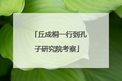 丘成桐一行到孔子研究院考察