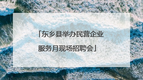 东乡县举办民营企业服务月现场招聘会