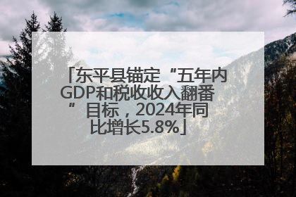 东平县锚定“五年内GDP和税收收入翻番”目标，2024年同比增长5.8%
