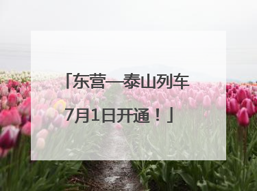 东营—泰山列车7月1日开通！