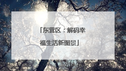 东营区：解码幸福生活新图景
