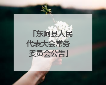 东阿县人民代表大会常务委员会公告