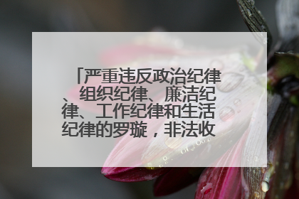 严重违反政治纪律、组织纪律、廉洁纪律、工作纪律和生活纪律的罗璇，非法收受他人巨额财物