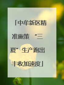 中牟新区精准施策 “三夏”生产跑出丰收加速度