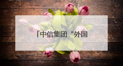 中信集团“外国企业中国行”再出发，超200家日资企业走进广东