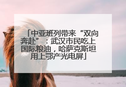 中亚班列带来“双向奔赴”：武汉市民吃上国际粮油，哈萨克斯坦用上鄂产光电屏