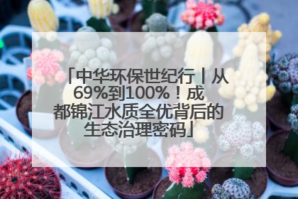 中华环保世纪行丨从69%到100%！成都锦江水质全优背后的生态治理密码