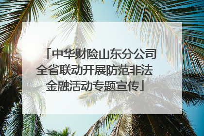 中华财险山东分公司全省联动开展防范非法金融活动专题宣传