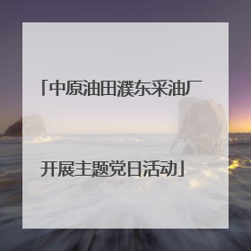 中原油田濮东采油厂开展主题党日活动