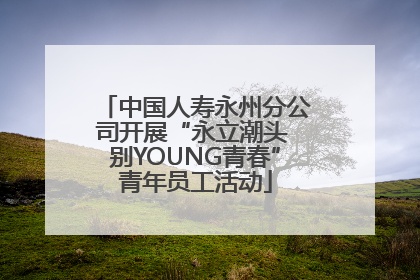 中国人寿永州分公司开展“永立潮头 别YOUNG青春”青年员工活动