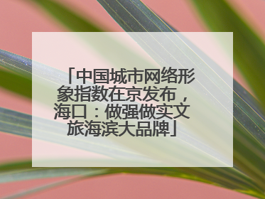 中国城市网络形象指数在京发布，海口：做强做实文旅海滨大品牌