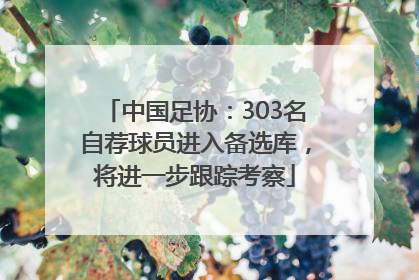 中国足协：303名自荐球员进入备选库，将进一步跟踪考察