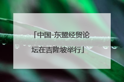 中国-东盟经贸论坛在吉隆坡举行