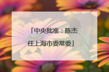 中央批准：陈杰任上海市委常委