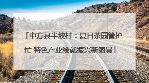 中方县半坡村：夏日茶园管护忙 特色产业绘就振兴新图景