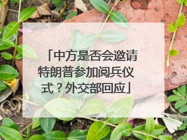 中方是否会邀请特朗普参加阅兵仪式？外交部回应