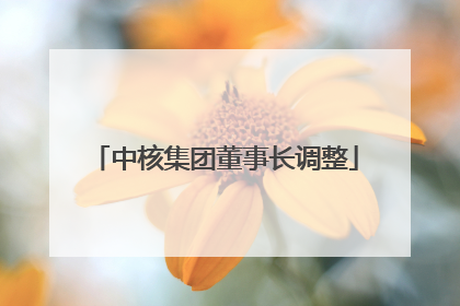 中核集团董事长调整