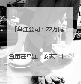 乌江公司：22万尾鱼苗在乌江“安家”