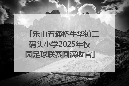 乐山五通桥牛华镇二码头小学2025年校园足球联赛圆满收官