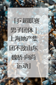 乒超联赛男子团体｜上海地产集团不敌山东魏桥·向尚运动