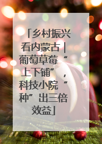 乡村振兴看内蒙古｜葡萄草莓“上下铺”，科技小院“种”出三倍效益