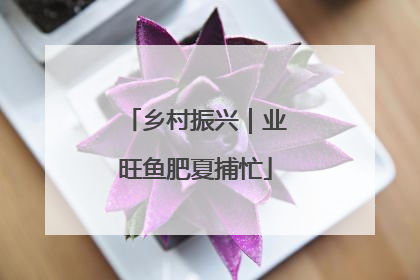乡村振兴｜业旺鱼肥夏捕忙