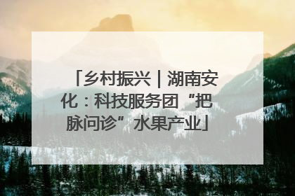 乡村振兴｜湖南安化：科技服务团“把脉问诊”水果产业