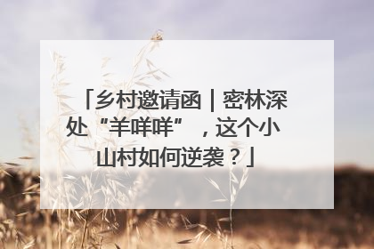 乡村邀请函｜密林深处“羊咩咩”，这个小山村如何逆袭？