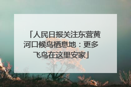 人民日报关注东营黄河口候鸟栖息地：更多飞鸟在这里安家