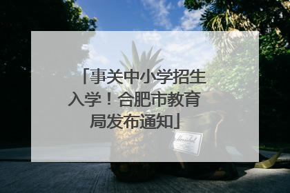事关中小学招生入学！合肥市教育局发布通知
