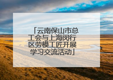 云南保山市总工会与上海闵行区劳模工匠开展学习交流活动