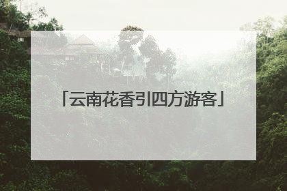 云南花香引四方游客