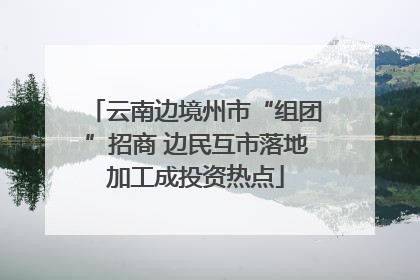 云南边境州市“组团”招商 边民互市落地加工成投资热点
