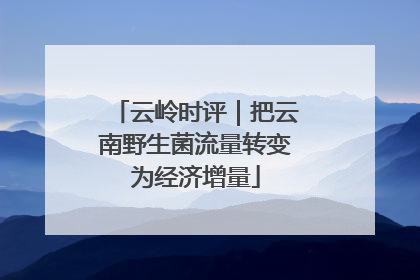 云岭时评｜把云南野生菌流量转变为经济增量