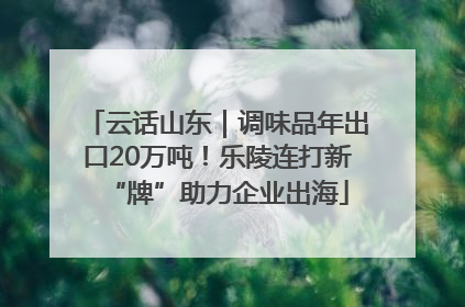 云话山东｜调味品年出口20万吨！乐陵连打新“牌”助力企业出海